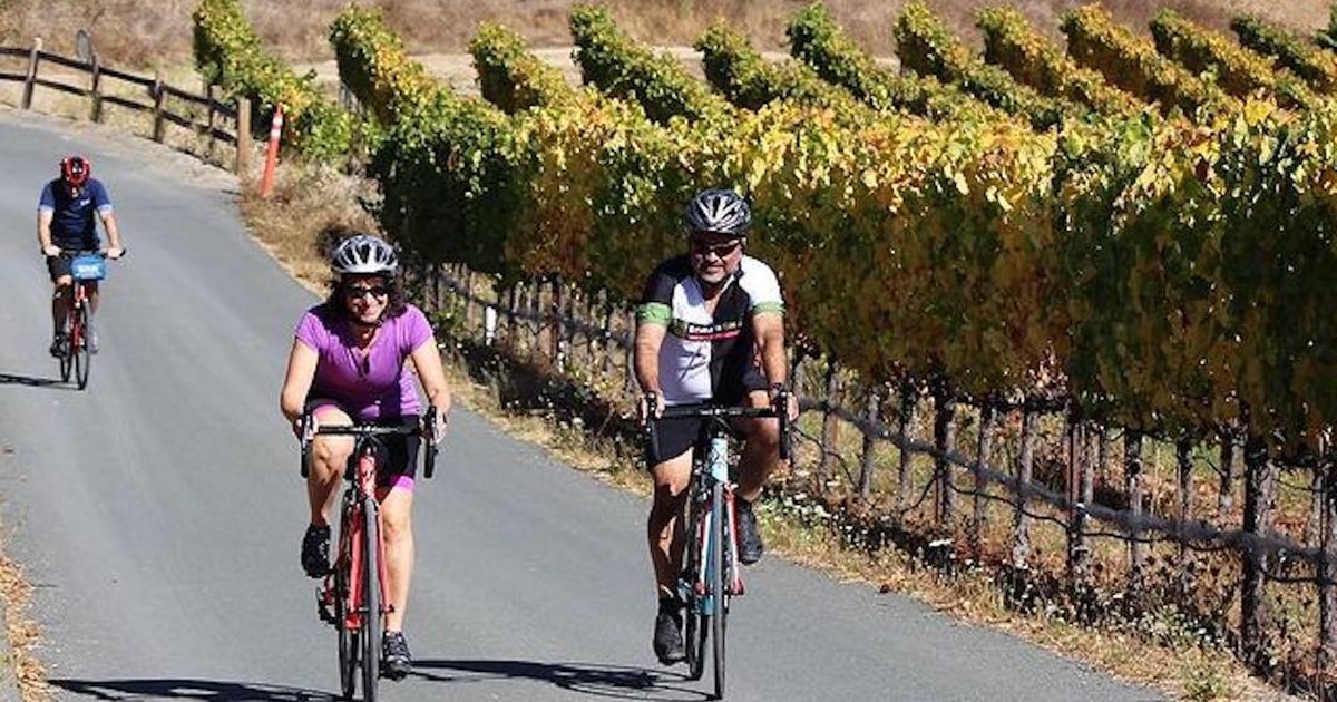 Wine Country Kayaking, Biking, Lunch, & Wine Tasting Trip GetYourGuide
