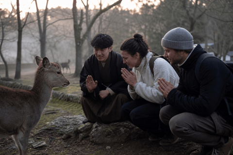 Nara: Pre-Dawn Heritage Walk with Local Guide