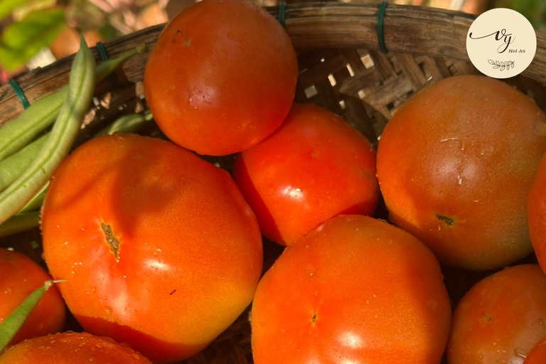 Hoi An Cooking Class with Organic Farm & Local Market