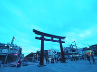 Hakone and Kamakura, 3-day Rail Pass - Hizvo