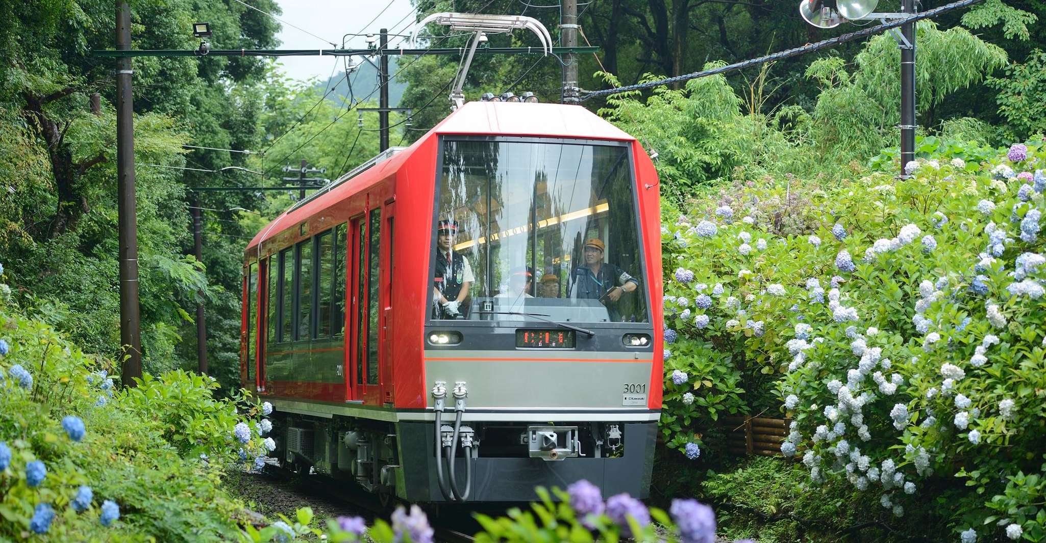 Hakone ve Kamakura, 3 günlük Demiryolu Geçidi - Hizvo