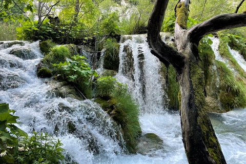 Zagreb: Rastoke &amp; Plitvice Lakes Tour, ingresso e passeio de barcoGrupos pequenos de até 8 pessoas com serviço de busca no hotel