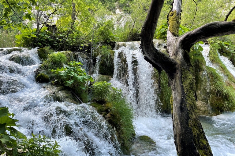 Vanuit Zagreb: Nationaal Park Plitvice & Rastoke