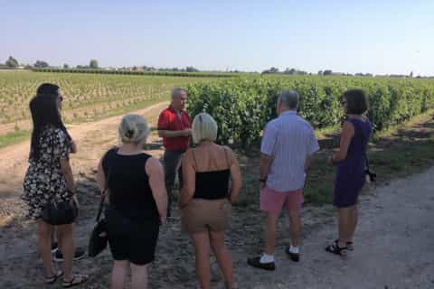Walking tours