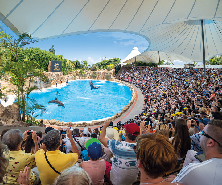 Puerto de la Cruz: Loro Parque Entry Ticket