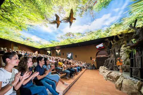 Puerto de la Cruz: Loro Parque Entry Ticket and Shows