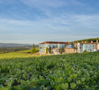 Esperienze gastronomiche a Pontevedra