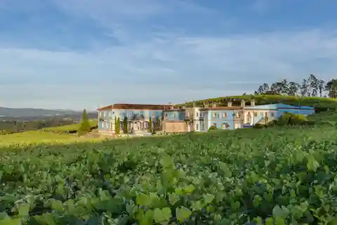 Cata de Vino Albariño con Visita a Bodega