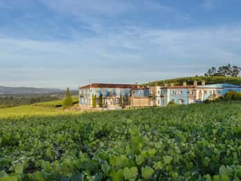 Albariño Wine Tasting with Winery Tour