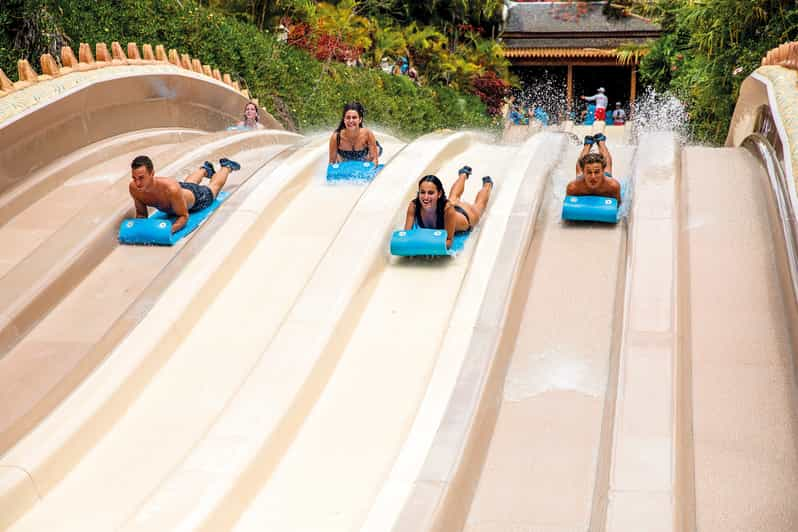 equilibrio Plaga Establecer entradas siam park mas loro parque Barriga ...