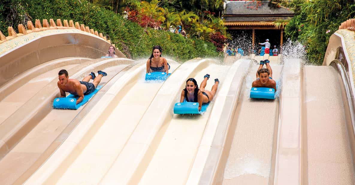 Afbeelding 9 van Gecombineerde toegangstickets voor Loro Parque en Siam Park