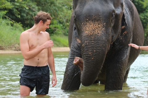 Khao Lak : baignade et alimentation des éléphants avec cascadeVisite matinale du bain et de l'alimentation des éléphants