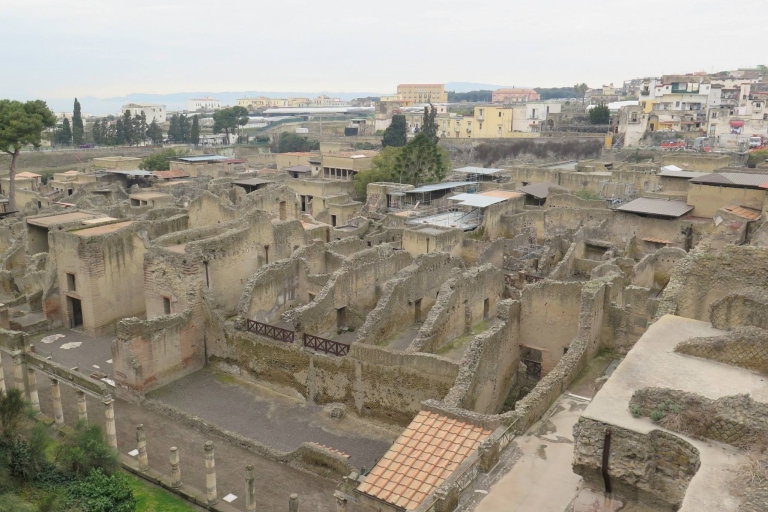 Desde Nápoles: tour privado de Pompeya, Herculano y VesubioTour privado en sedán desde el hotel