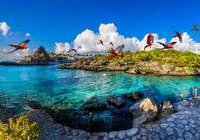 Cancun & RM, Xcaret Park, Xel-Ha & Chichen Itzá Combo de 3 días - Hizvo