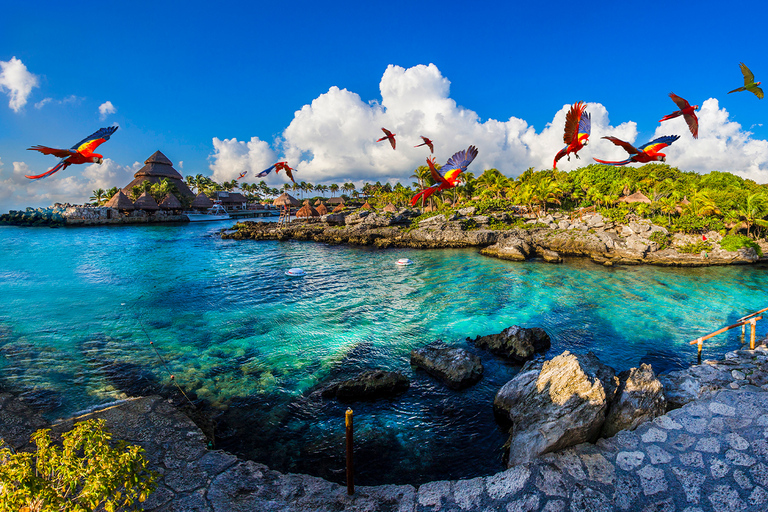 Cancun & Playa del Carmen: Xcaret Plus -Lunch-Show-Transfers