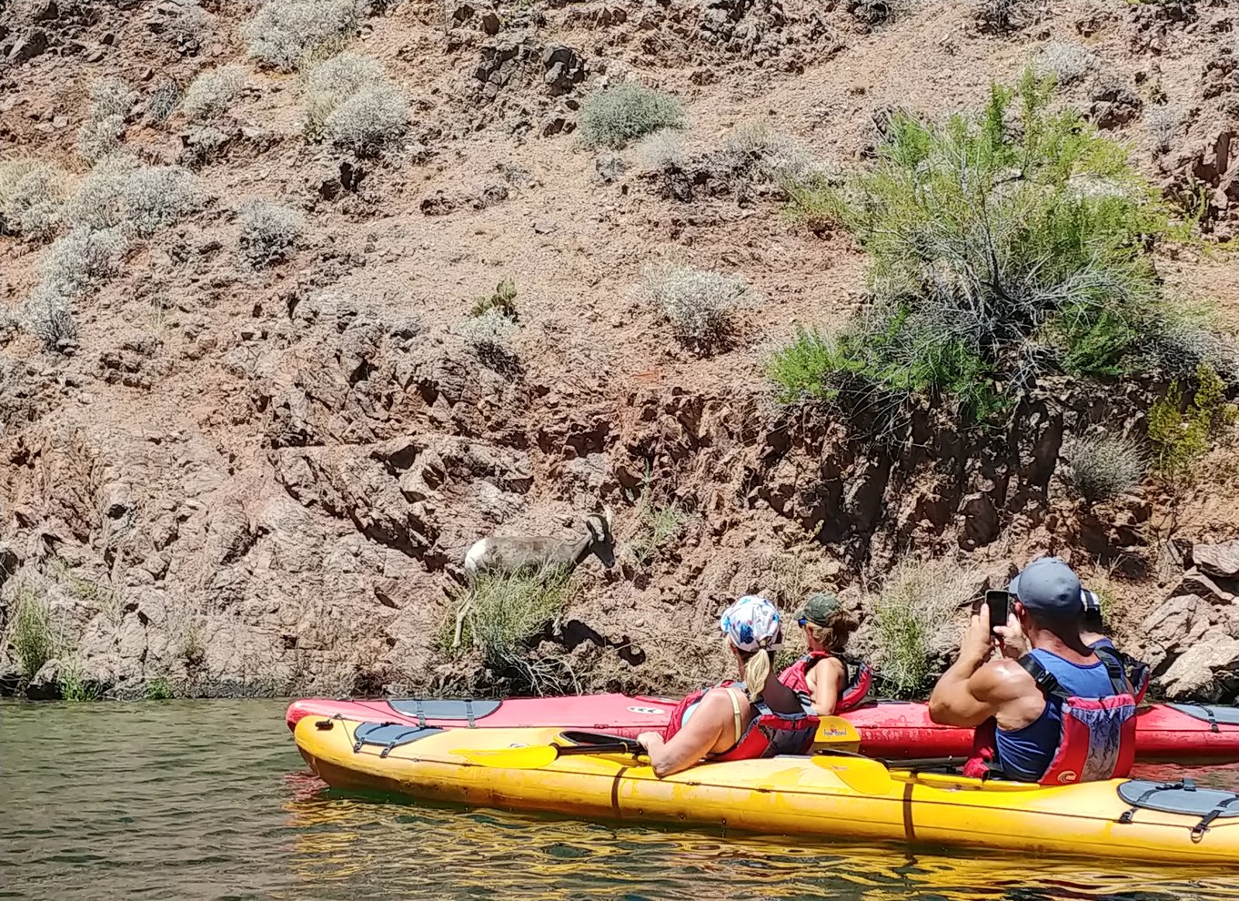 From Las Vegas Guided Emerald Cave Kayak Tour BookYourTour Com   140 