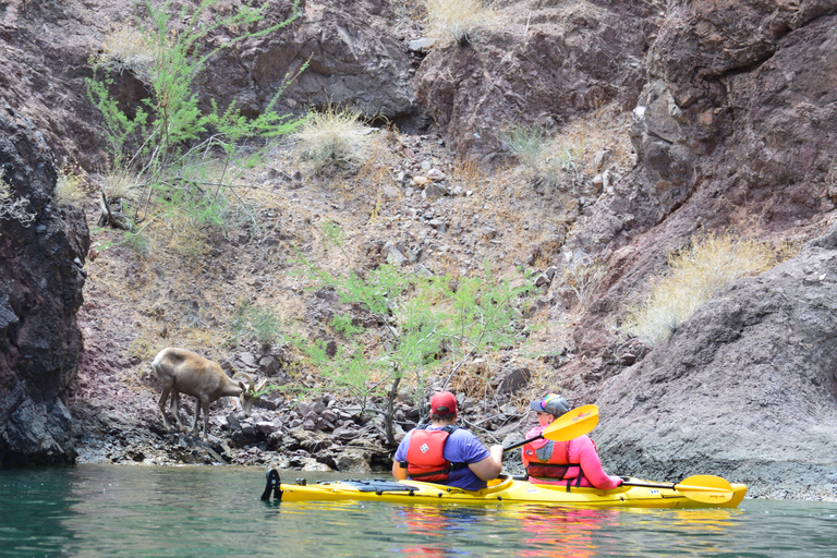 From Las Vegas: Guided Emerald Cave Kayak Tour