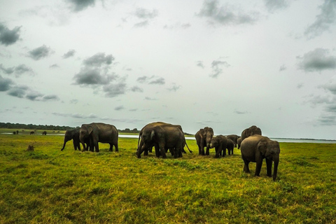 Triángulo Cultural 5 Días 4 Noches en Sri Lanka