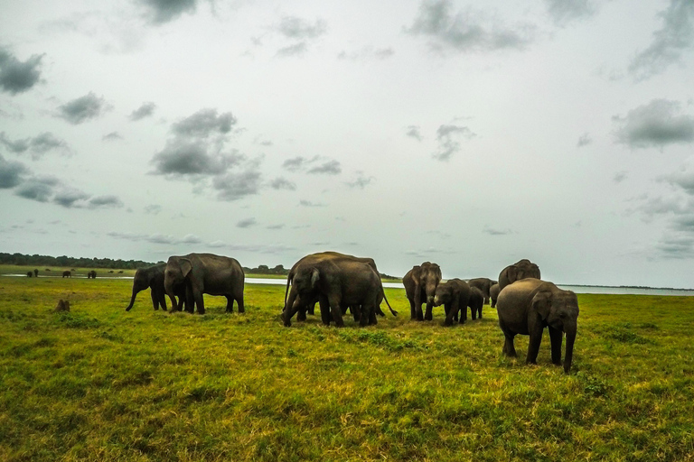 Kulturell triangel 5 dagar 4 nätter i Sri Lanka