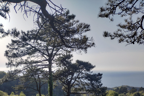 Hidden Heritage: Ultimate Basque Country Off-Road Odyssey