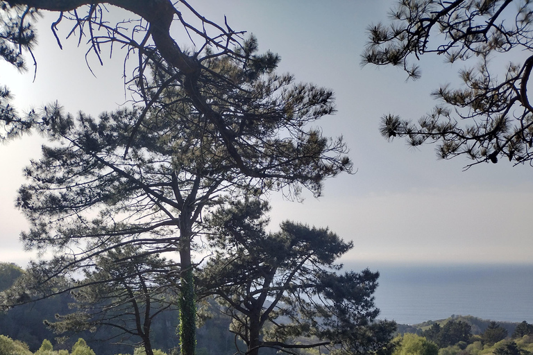 Hidden Heritage: Ultimate Basque Country Off-Road Odyssey