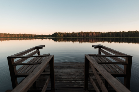 Rovaniemi: experiência noturna da Lapônia com jantar