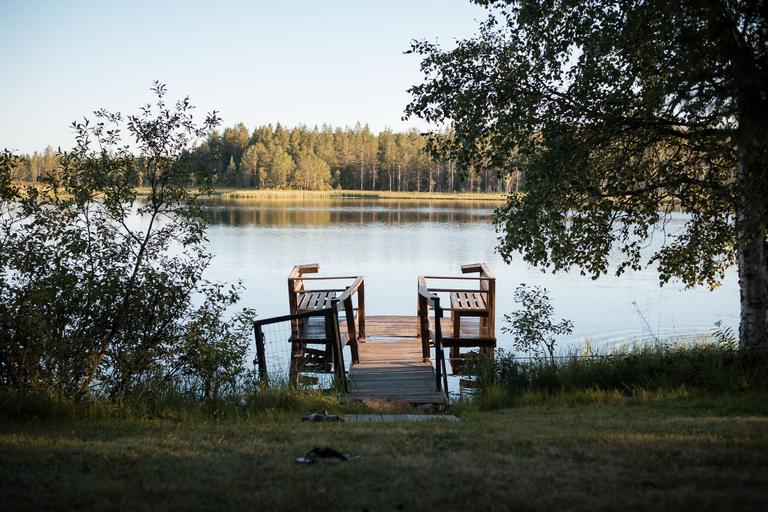 Rovaniemi: esperienza serale lappone con cena