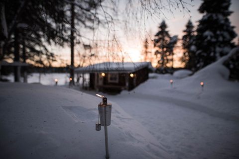 Rovaniemi: experiência noturna da Lapônia com jantar