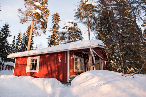 Rovaniemi : Soirée lapone avec dîner