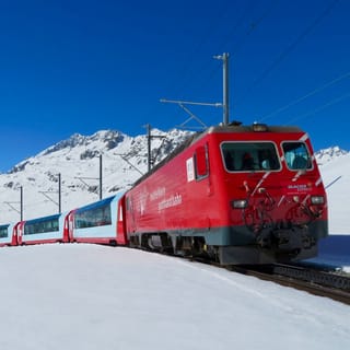 From Basel: Private Full-Day Glacier Express Train Tour