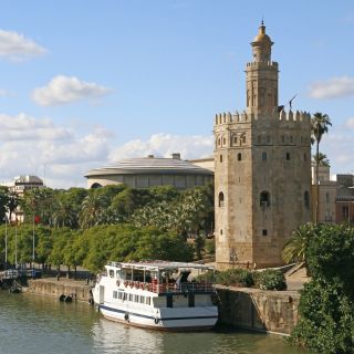 From Granada: Seville Private City Tour with Alcazar