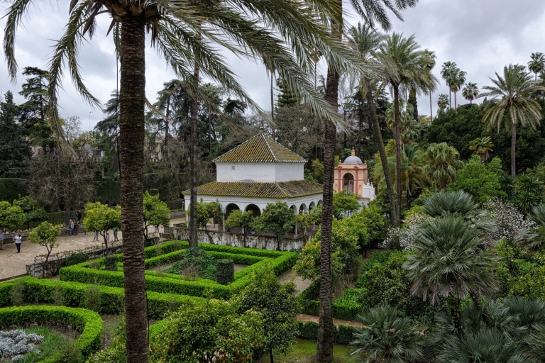 From Granada: Seville Private City Tour with Alcazar