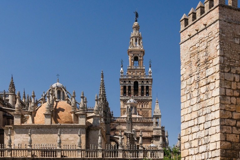 Ab Granada: Private Stadtrundfahrt durch Sevilla mit Alcazar