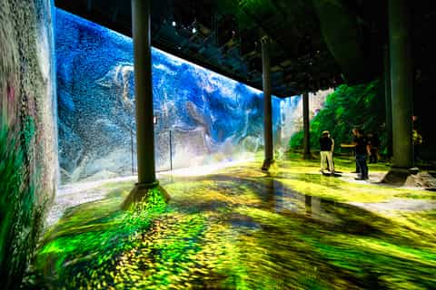 NYC: ARTECHOUSE Immersive Art Experience Entrance Ticket