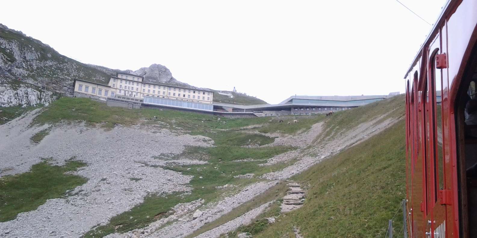 section