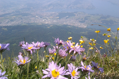 Mt.Pilatus Golden Round Trip Wycieczka w małej grupie z ZurychuZ Zurychu: Złota wycieczka w obie strony na górę Pilatus