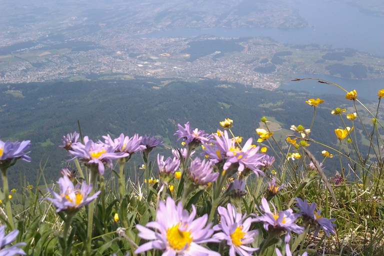 Mt.Pilatus Golden Round Trip Wycieczka w małej grupie z ZurychuZ Zurychu: Złota wycieczka w obie strony na górę Pilatus