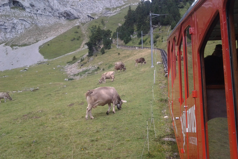 Mt.Pilatus Golden Round Trip Wycieczka w małej grupie z ZurychuZ Zurychu: Złota wycieczka w obie strony na górę Pilatus