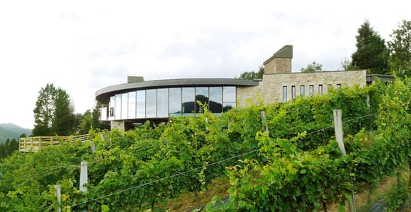 Bilbao: Txakoli and Local Flavors in the Urdaibai Biosphere