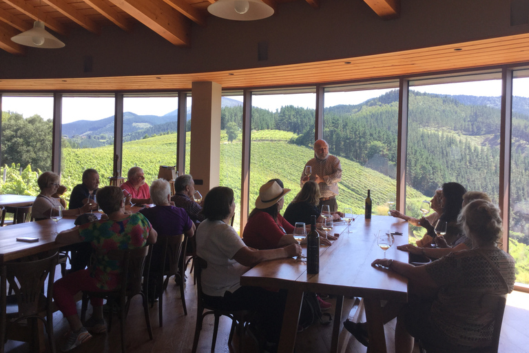 Bilbao: visita a bodega ecológica con degustación