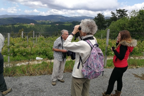 Bilbao: Wizyta w ekologicznej winnicy z degustacją