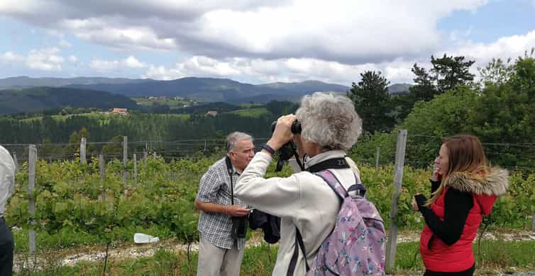 Galería de fotos para redes