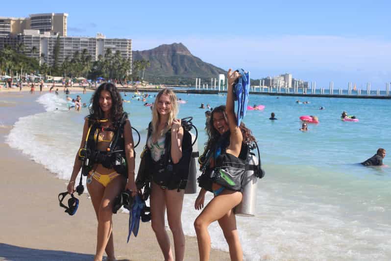 Waikiki Honolulu Beginner Scuba Diving with Videos GetYourGuide
