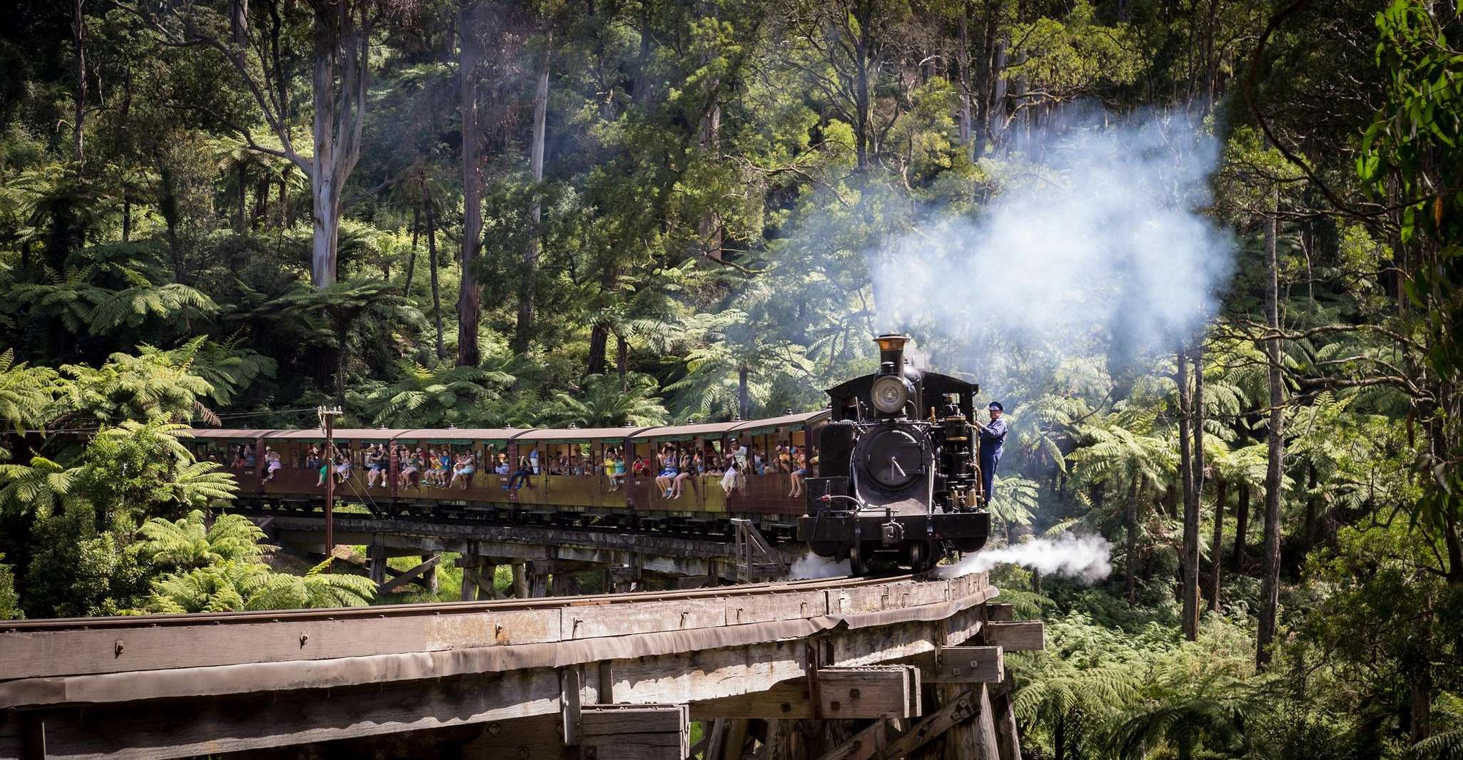 Melbourne: Half-Day Puffing Billy Steam Train Experience photo 10