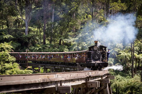 Melbourne: Puffing Billy Train i wycieczka na wyspę pingwinów