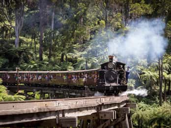 Melbourne: Puffing Billy Train & Penguin Island Excursion