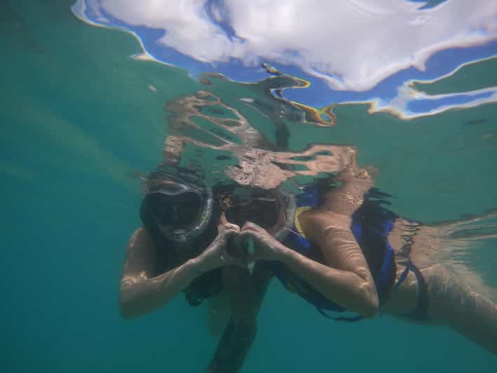 Oahu Honolulu Beginner Snorkeling Tour GetYourGuide