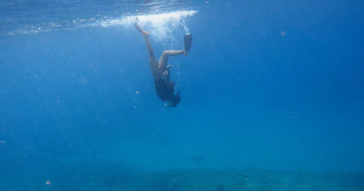 Oahu Honolulu Beginner Snorkeling Tour GetYourGuide