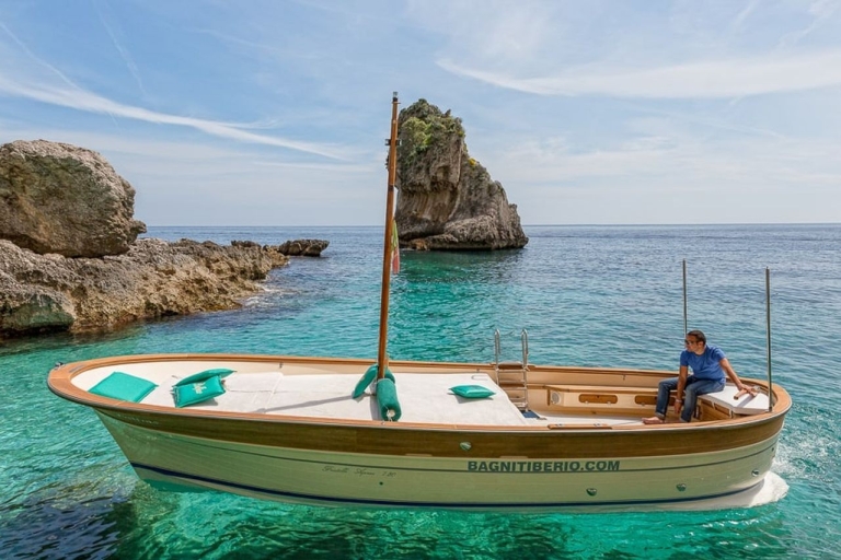 From Sorrento: Capri & Anacapri Private Tour Including Ferry