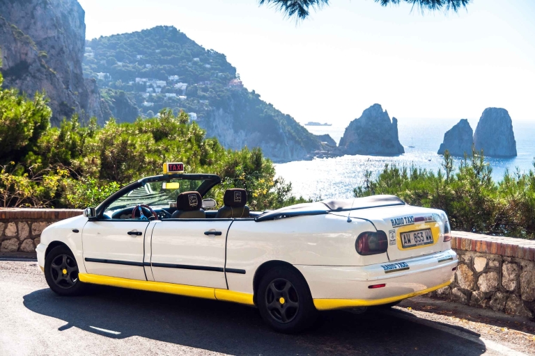 From Sorrento: Capri & Anacapri Private Tour Including Ferry